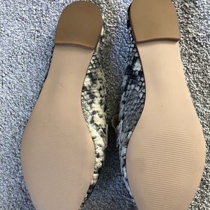 Steve Madden snakeskin mules, never worn